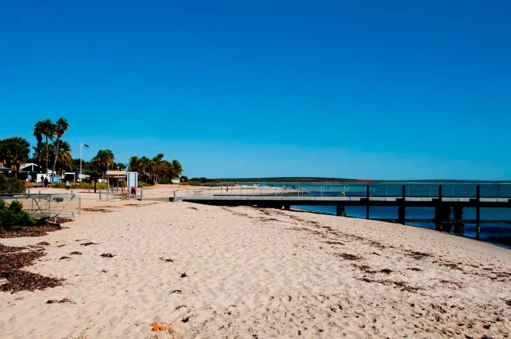 Coastal residential neighborhood in Deerfield Beach with palm trees