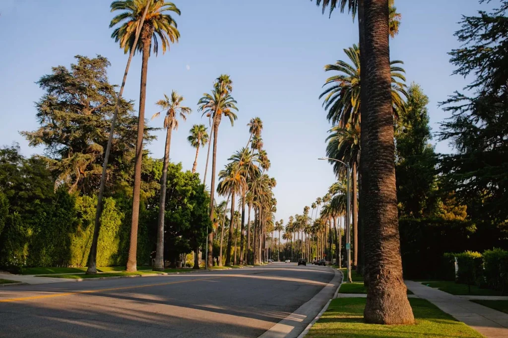 Luxury residential street with palm trees in Beverly Hills